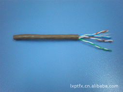 网络线产品选购指南 从第79页产品列表看专业应用与未来趋势